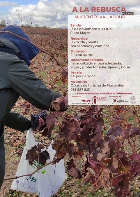 Varios medios se hacen eco de nuestra actividad A La Rebusca